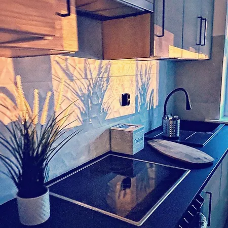 Apartament Konstantego *